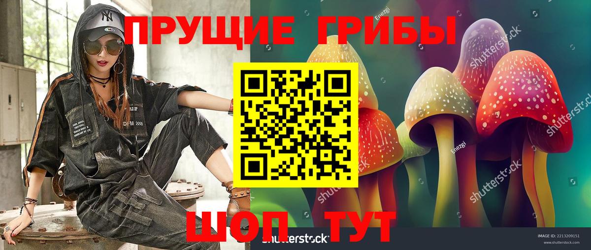 Псилоцибиновые грибы мухоморы Михайловск